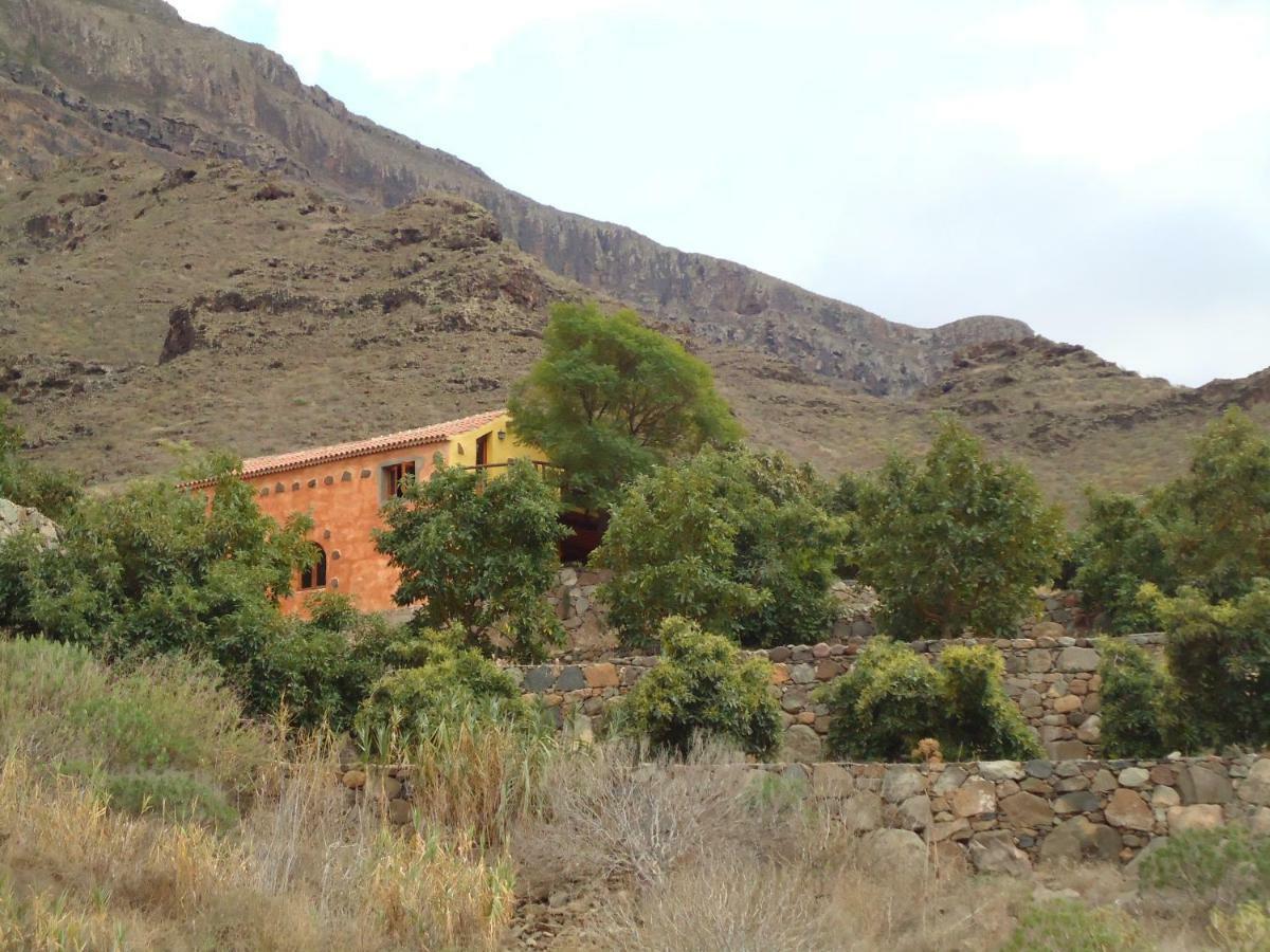 Finca Los Dioses I Mogan Bagian luar foto